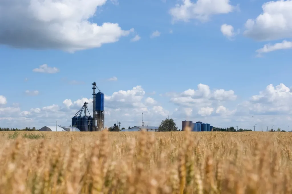 Alberta Funding Company CEO Departs Immediately After 4 Years