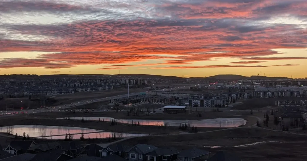 Delicate Friday at 7C Begins Gradual Temperature Drop