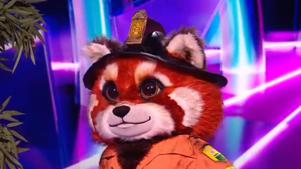 Harry Hill Unmasked as Pink Panda on The Masked Singer UK Harry Hill Unmasked as Pink Panda on The Masked Singer UK