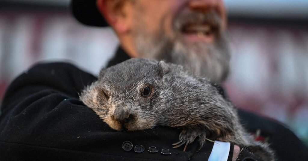 Groundhog Day Origins: Punxsutawney Phil’s Climate Prediction Historical past Groundhog Day Origins: Punxsutawney Phil’s Climate Prediction Historical past