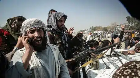 Practically 1,000 Afghan Casualties in Pakistan Border Escalation Practically 1,000 Afghan Casualties in Pakistan Border Escalation