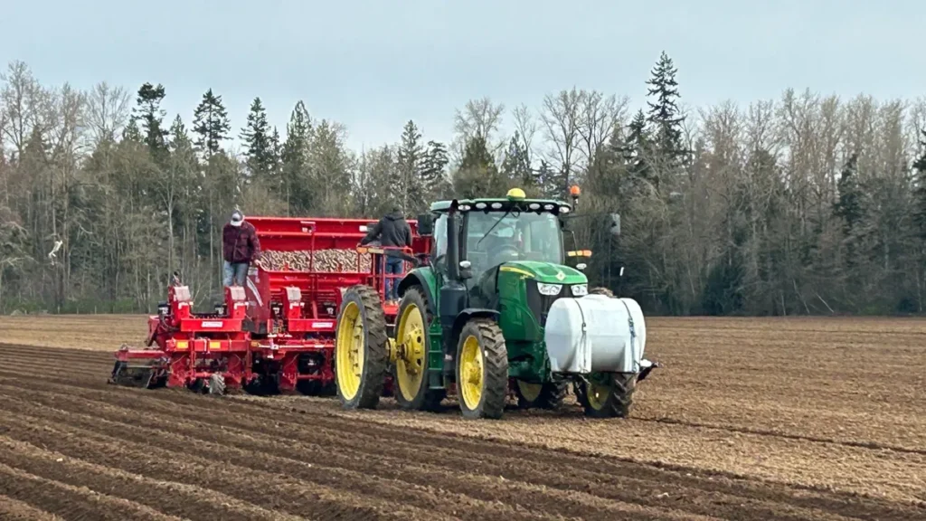 Surrey Farmers Combat to Save 220-Acre Farmland Important for B.C. Meals Safety