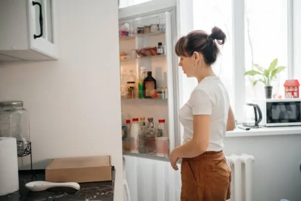 UK Fridge Freezer Tricks to Minimize Payments Earlier than April 1 Worth Cap UK Fridge Freezer Tricks to Minimize Payments Earlier than April 1 Worth Cap