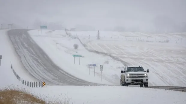 Alberta Faces Wintry Storm: As much as 20 cm Snow Forecast Alberta Faces Wintry Storm: As much as 20 cm Snow Forecast