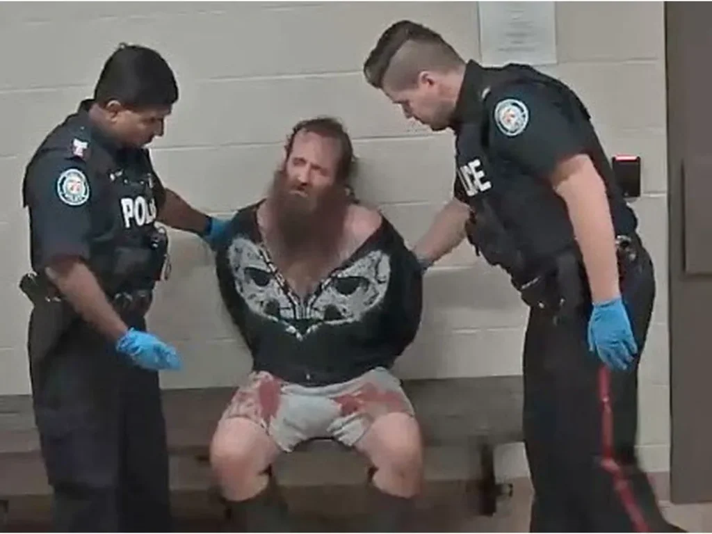 Toronto Man Completely Discharged After Grandmother Slaying Regardless of Psychiatrist Warnings