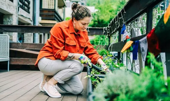 April Backyard Prep: Important Cleansing Duties for Out of doors Furnishings April Backyard Prep: Important Cleansing Duties for Out of doors Furnishings