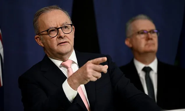 Australia Bans Neo-Nazi Group Whites Australia in Far-Proper Crackdown Australia Bans Neo-Nazi Group Whites Australia in Far-Proper Crackdown