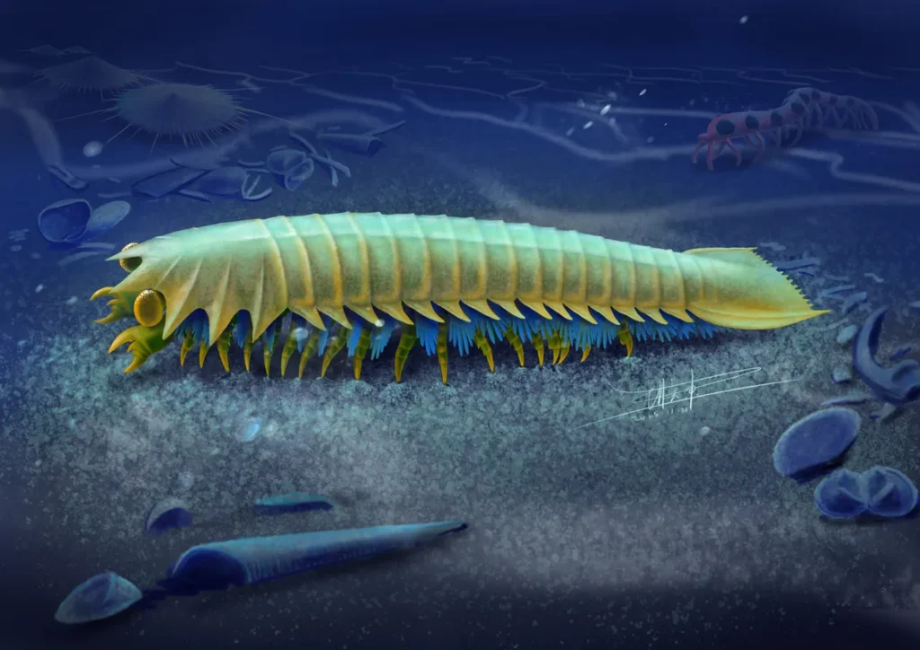 518-Million-12 months-Previous Fossil Reveals Earliest Spider Fang Evolution