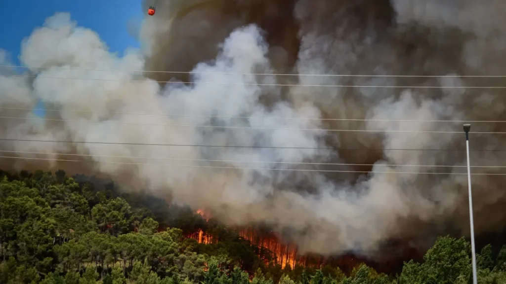 Europe Wildfires: Hundreds Flee as Blazes Rage Throughout Continent