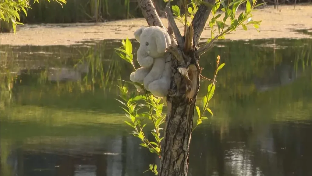 Youngster Dies After Drowning Incident in Calgary Stormwater Pond Youngster Dies After Drowning Incident in Calgary Stormwater Pond