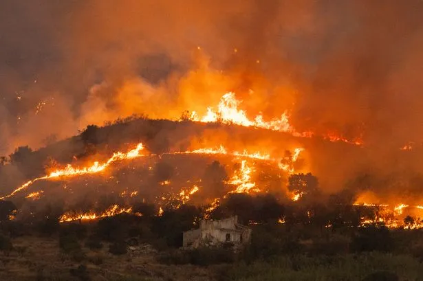 Girl from ‘A Place within the Solar’ Feared Lifeless in Spanish Wildfires Girl from ‘A Place within the Solar’ Feared Lifeless in Spanish Wildfires