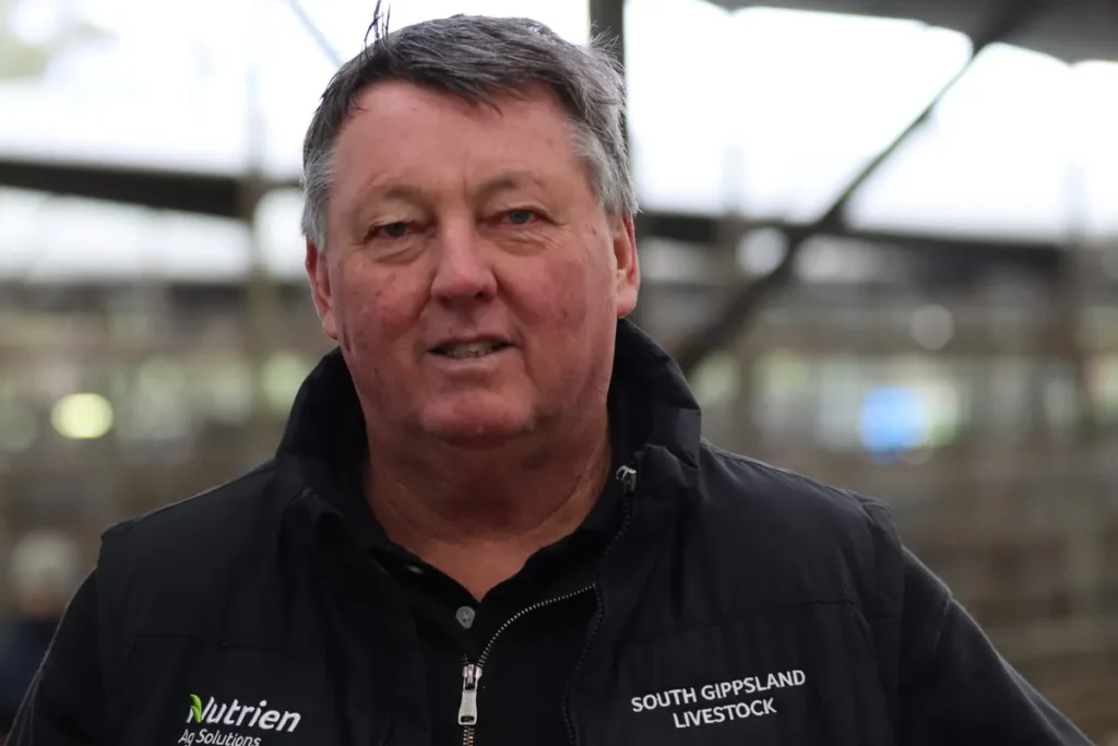 Leongatha Cattle Sale Sees Value Restoration for Cows and Bulls