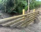 Beaver-Impressed Flood Defenses Fight Drought and Deluge Beaver-Impressed Flood Defenses Fight Drought and Deluge
