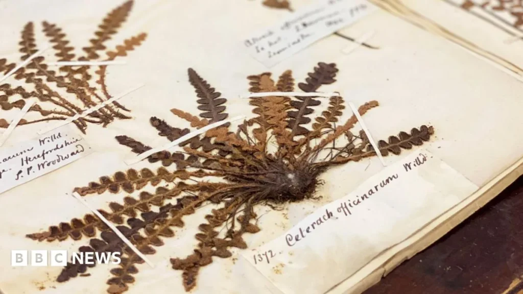 UK’s Historic Biodiversity ‘Time Capsule’ Digitized UK’s Historic Biodiversity ‘Time Capsule’ Digitized