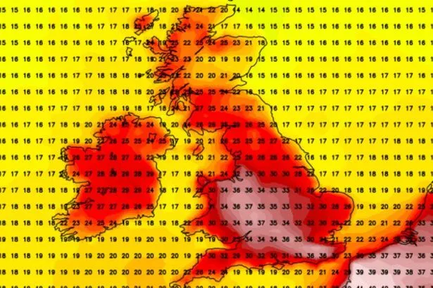 UK Heatwave Forecast: 37C Temperatures Anticipated Early August UK Heatwave Forecast: 37C Temperatures Anticipated Early August