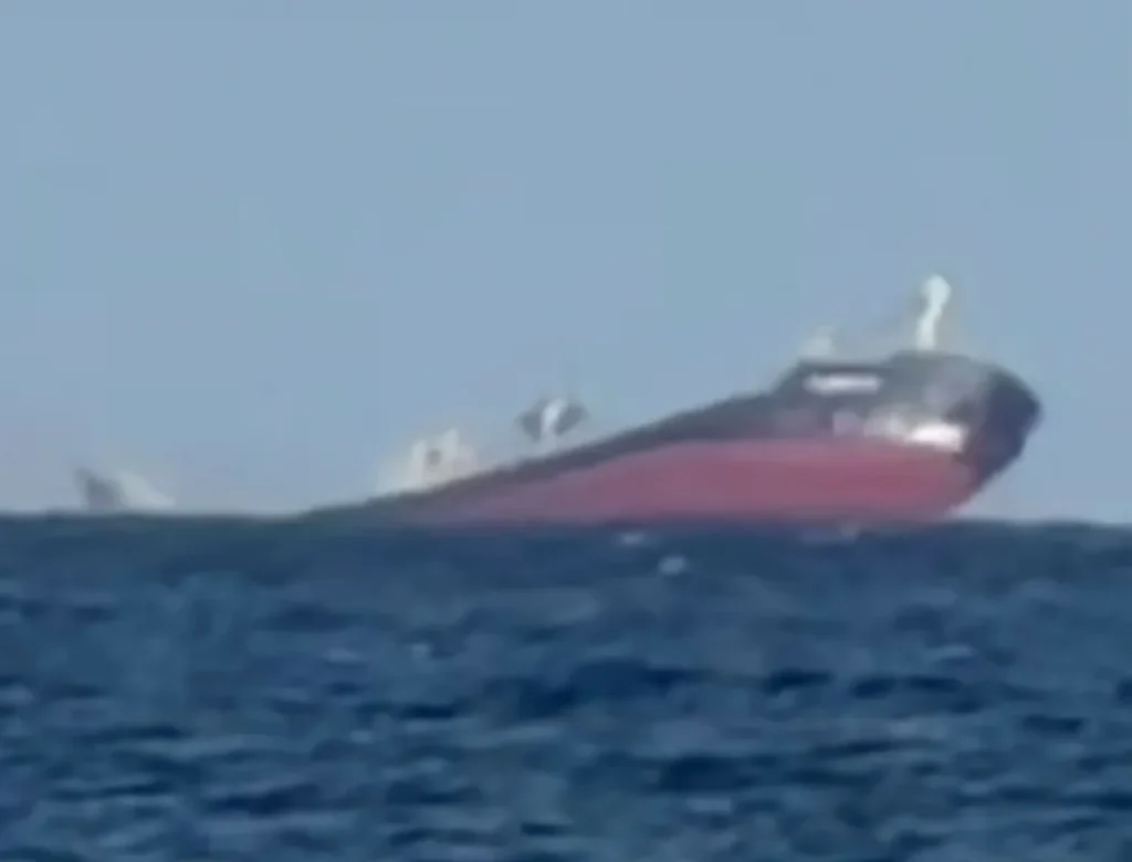 Cargo Ship Sinks in Black Sea After Russian Missile Strike