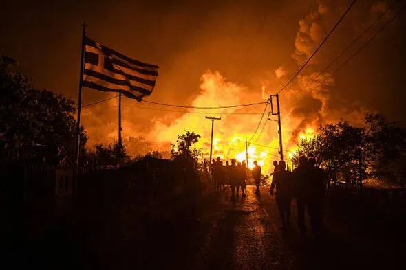 Europe Faces Unprecedented Wildfire Menace, EU Official Warns Europe Faces Unprecedented Wildfire Menace, EU Official Warns