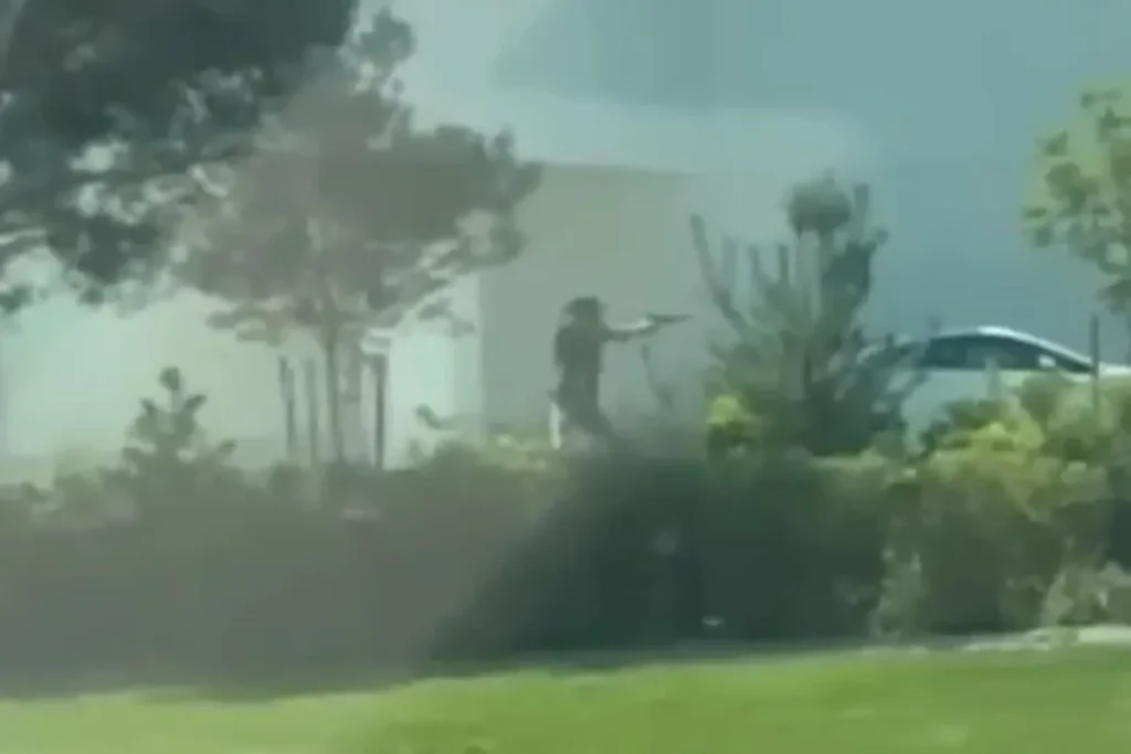 Armed Citizen Intervenes in Lethal In-N-Out Taking pictures Rampage