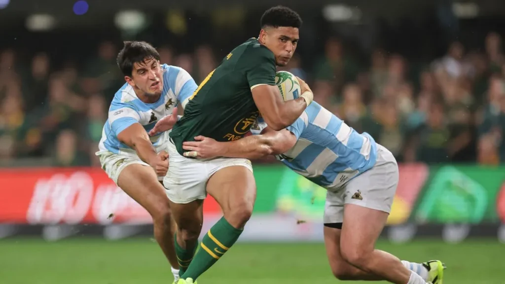 Argentina vs South Africa: Watch Rugby Match for Free On-line