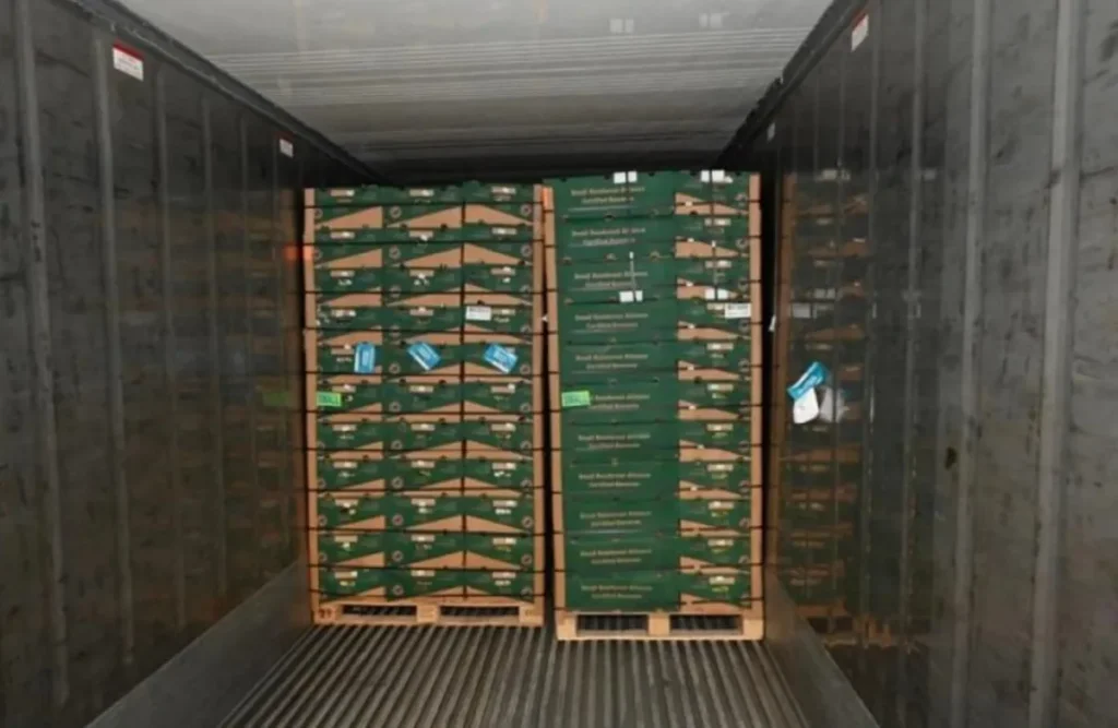 Almost 3 Tonnes of Cocaine Present in Banana Cargo at UK Port Almost 3 Tonnes of Cocaine Present in Banana Cargo at UK Port
