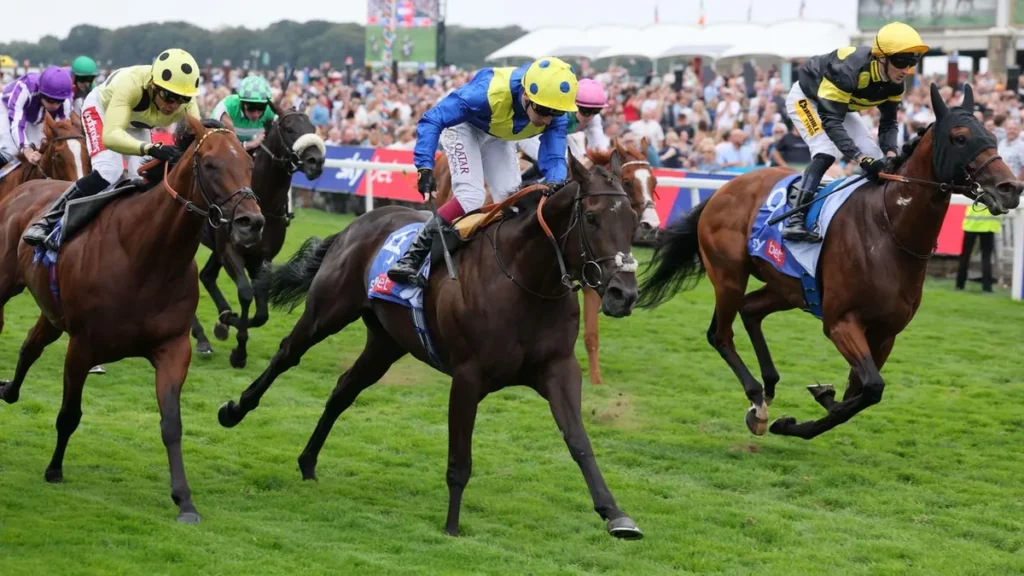 Horse Racing Panel: Courageous Name & High Weekend Picks