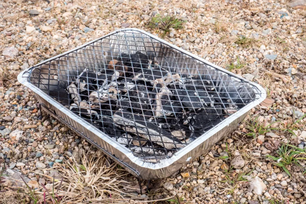 Disposable Barbecues Banned Amid Hearth Threat Considerations
