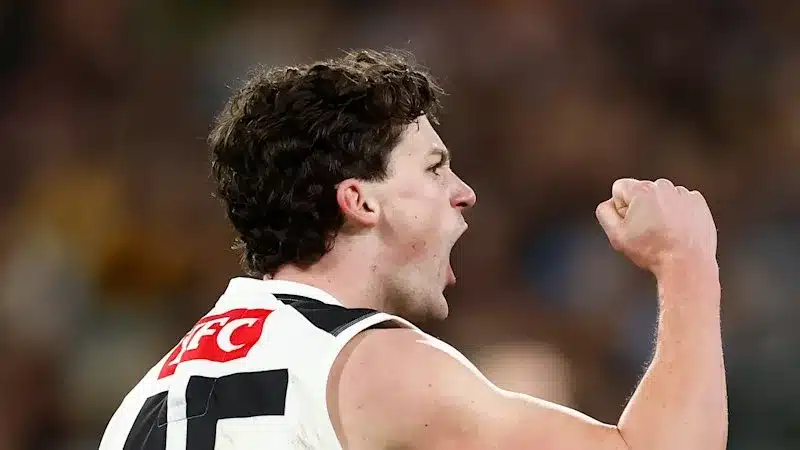 Magpies and Lions Conflict for Essential Finals Berth Magpies and Lions Conflict for Essential Finals Berth