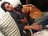 Meghan and Harry’s Canines: What Occurs on UK Return? Meghan and Harry’s Canines: What Occurs on UK Return?