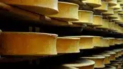 France Eases Cheese Guidelines Amid Historic Drought France Eases Cheese Guidelines Amid Historic Drought