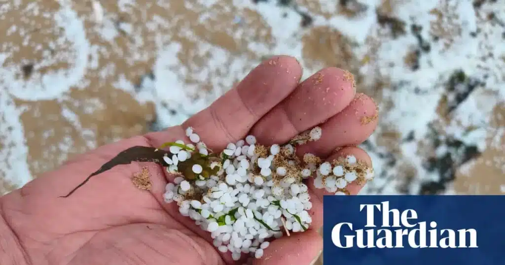 Nurdle Hunt: Cleansing Up the Tyne’s Plastic Bead Spill