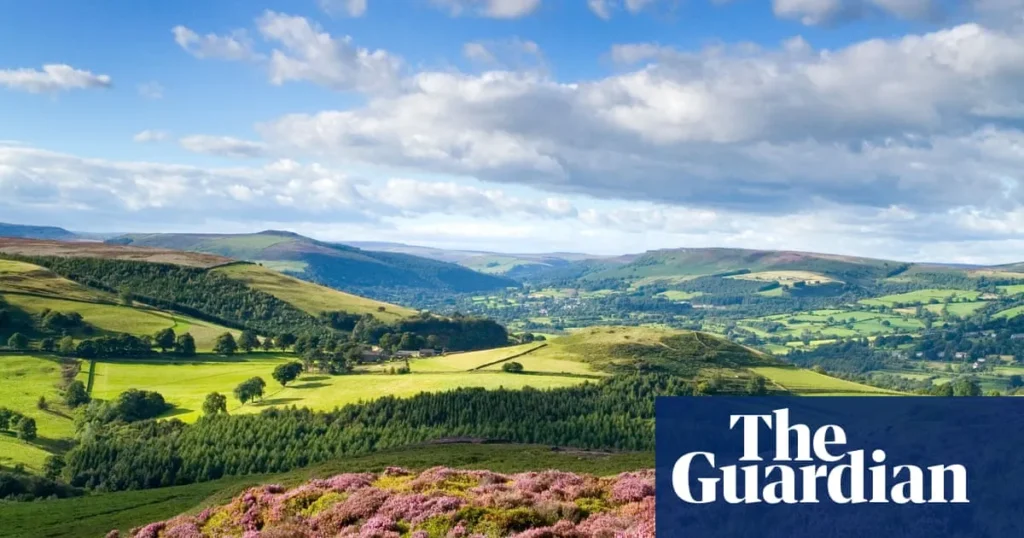 Moorland Revival: Rainfall and a New Haven for Wildlife