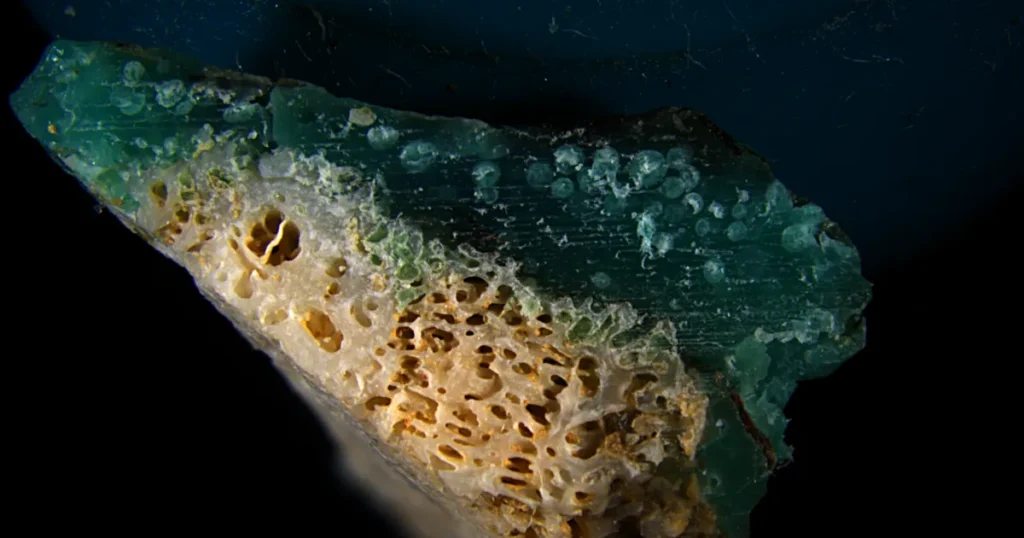 Plasticorals: New Menace to Okinawa’s Coral Reefs
