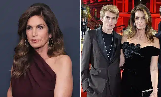 Cindy Crawford’s Previous Phrases on Baby Loss Resurface After Son Presley’s Demise Cindy Crawford’s Previous Phrases on Baby Loss Resurface After Son Presley’s Demise